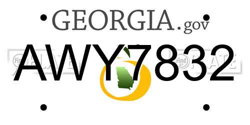 AWY7832 Georgia License Plate