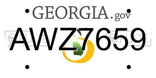AWZ7659 Georgia License Plate