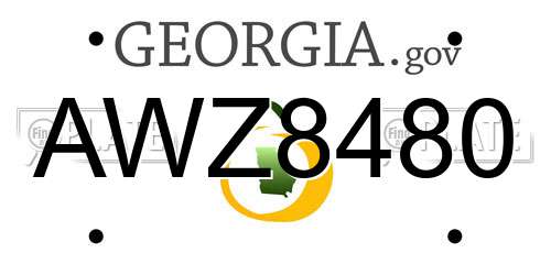 AWZ8480 Georgia License Plate