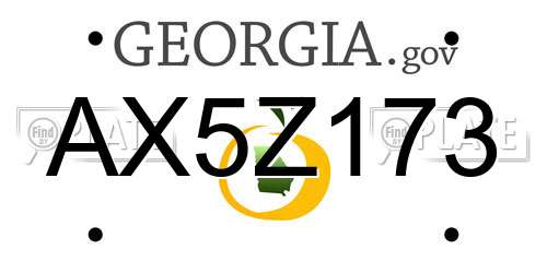 AX5Z173 Georgia License Plate