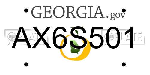 AX6S501 Georgia License Plate