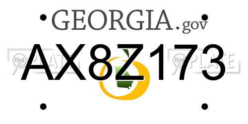 AX8Z173 Georgia License Plate