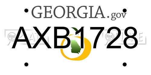 AXB1728 Georgia License Plate
