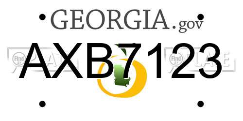 AXB7123 Georgia License Plate