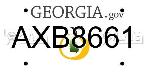 AXB8661 Georgia License Plate