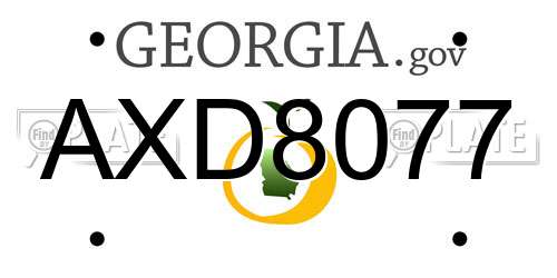 AXD8077 Georgia License Plate