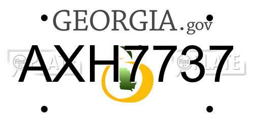AXH7737 Georgia License Plate
