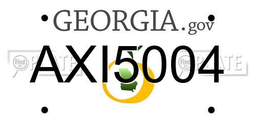 AXI5004 Georgia License Plate