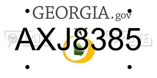 AXJ8385 Georgia License Plate