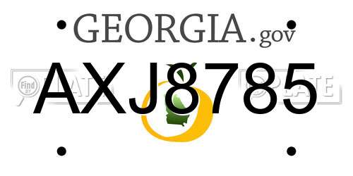 AXJ8785 Georgia License Plate