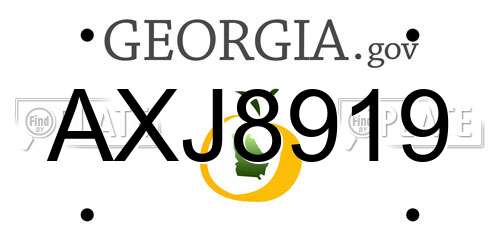 AXJ8919 Georgia License Plate