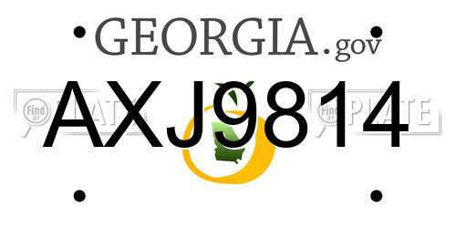AXJ9814 Georgia License Plate