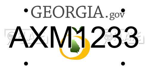 AXM1233 Georgia License Plate