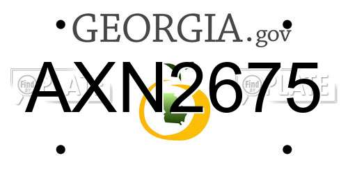 AXN2675 Georgia License Plate