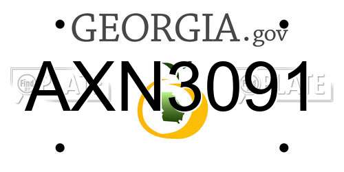 AXN3091 Georgia License Plate