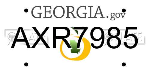 AXR7985 Georgia License Plate