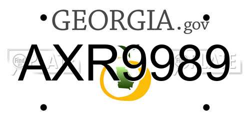 AXR9989 Georgia License Plate