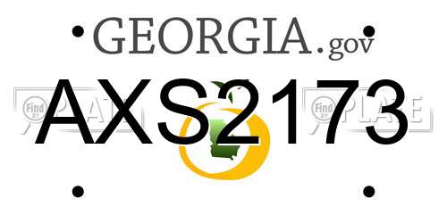 AXS2173 Georgia License Plate