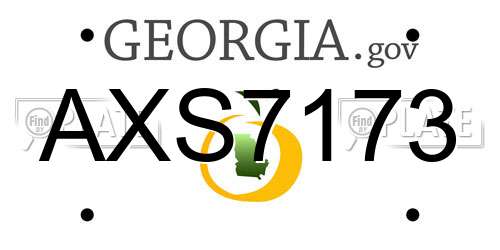 AXS7173 Georgia License Plate