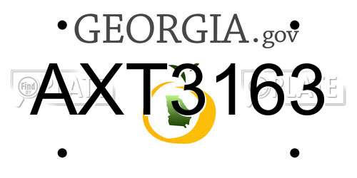 AXT3163 Georgia License Plate