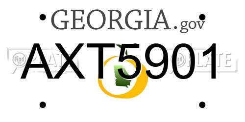 AXT5901 Georgia License Plate