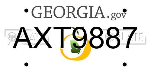 AXT9887 Georgia License Plate