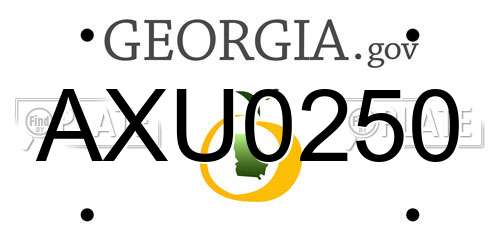 AXU0250 Georgia License Plate