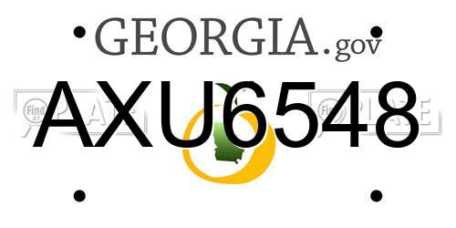 AXU6548 Georgia License Plate