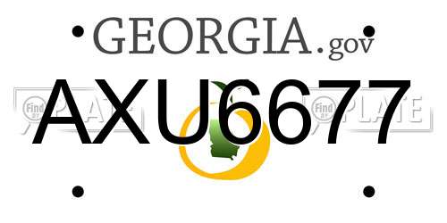 AXU6677 Georgia License Plate