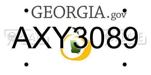 AXY3089 Georgia License Plate