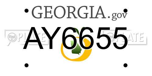 AY6655 Georgia License Plate