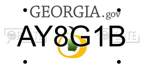 AY8G1B Georgia License Plate