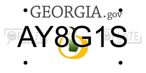 AY8G1S Georgia License Plate