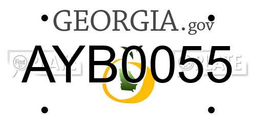 AYB0055 Georgia License Plate