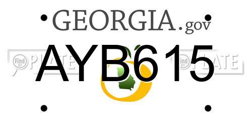AYB615 Georgia License Plate