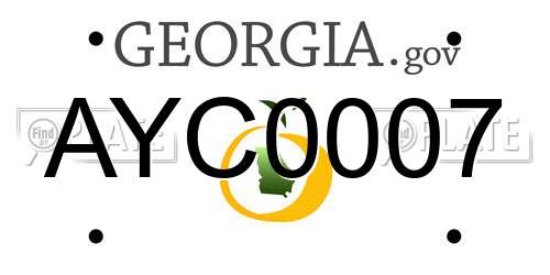 AYC0007 Georgia License Plate
