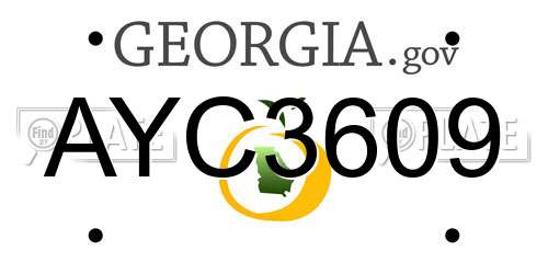 AYC3609 Georgia License Plate
