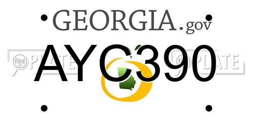 AYC390 Georgia License Plate