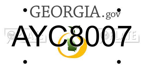 AYC8007 Georgia License Plate