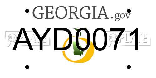 AYD0071 Georgia License Plate