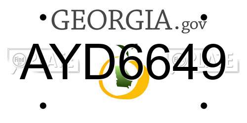AYD6649 Georgia License Plate