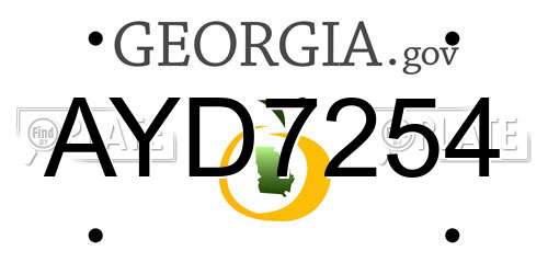 AYD7254 Georgia License Plate