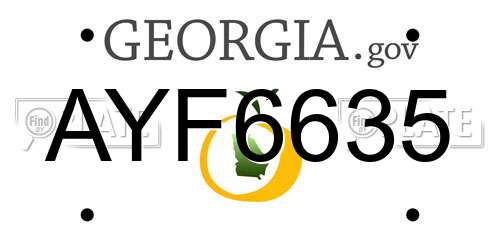 AYF6635 Georgia License Plate