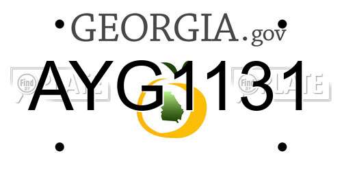 AYG1131 Georgia License Plate