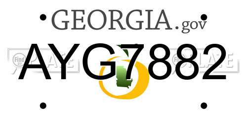 AYG7882 Georgia License Plate