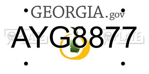 AYG8877 Georgia License Plate