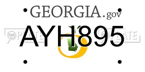 AYH895 Georgia License Plate