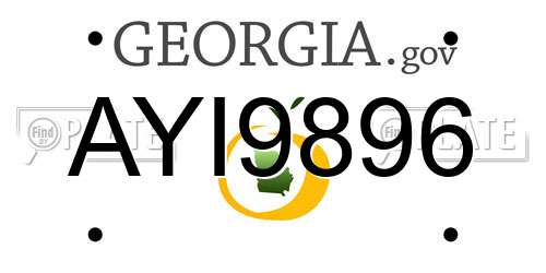 AYI9896 Georgia License Plate