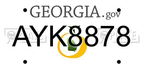 AYK8878 Georgia License Plate