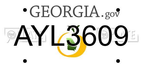 AYL3609 Georgia License Plate